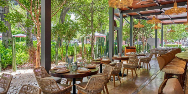 How Miami’s Restaurants are Catering to Food Allergies