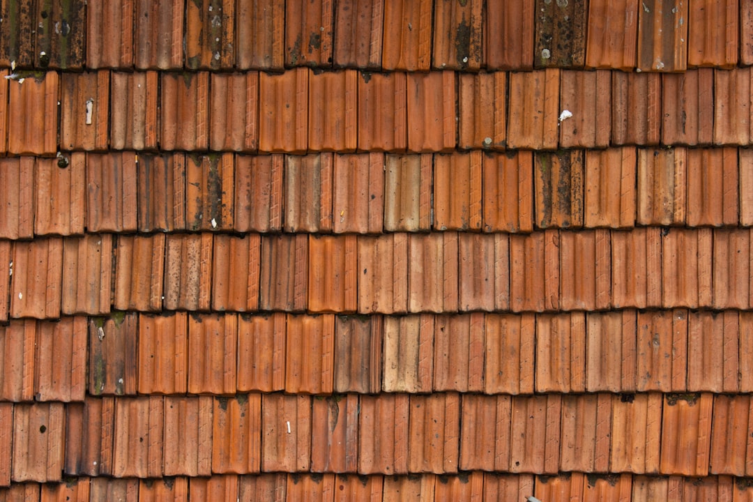 Close-up of a textured orange roof tile surface