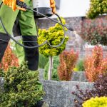Person applying eco-friendly pest control treatment to plants in a garden